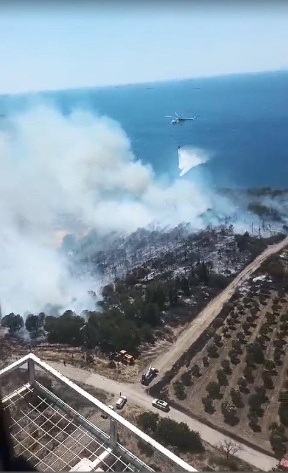 İzmir'de iki ayrı noktada orman yangını