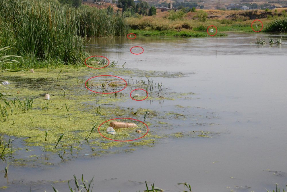 Dicle Nehri için alarm: Canlıları tehdit ediyor