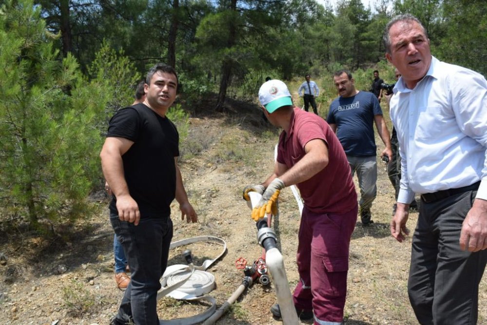 Eskişehir'de orman yangını