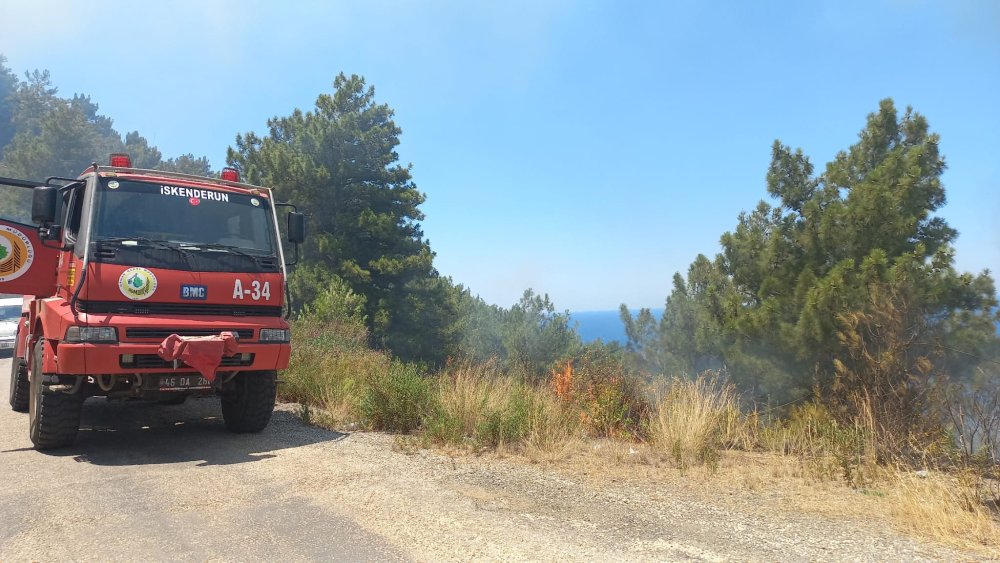 Hatay’da orman yangını