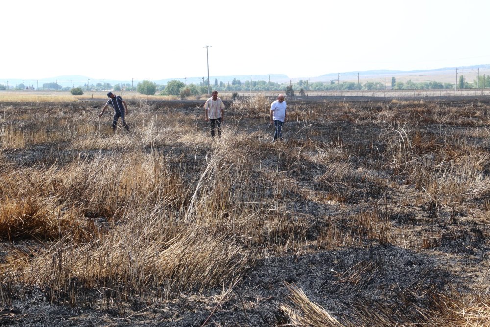 60 dönümlük arazi kül olmuştu: Yangının sebebi ortaya çıktı