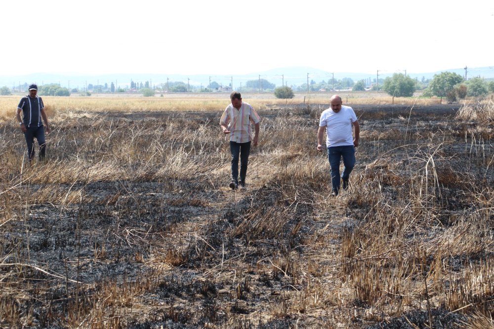 60 dönümlük arazi kül olmuştu: Yangının sebebi ortaya çıktı