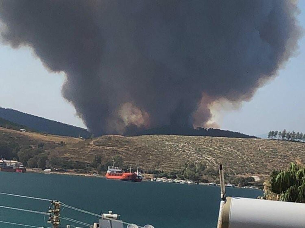 Muğla'da orman yangını