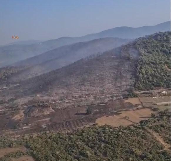 Muğla'daki yangın kontrol altında