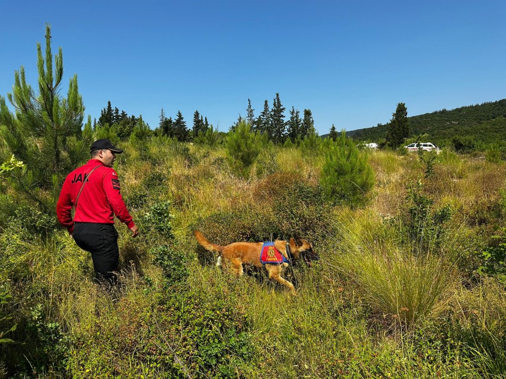 Berzeg'den hala iz yok: 180 kilometrekare alanda, 22 mahallede arandı