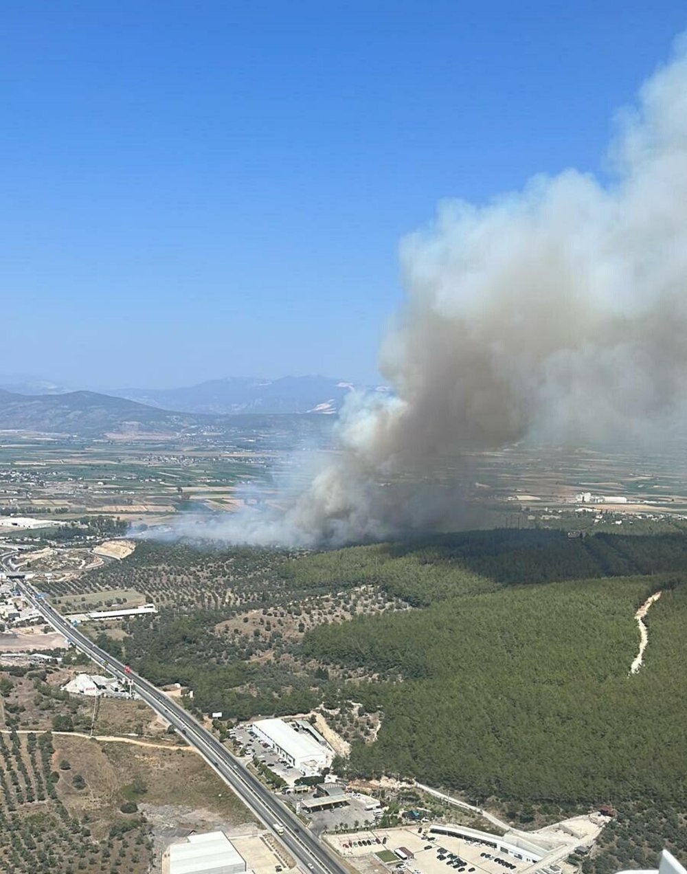 Milas'ta 160 hektar alan küle dönmüştü: Nedeni belli oldu