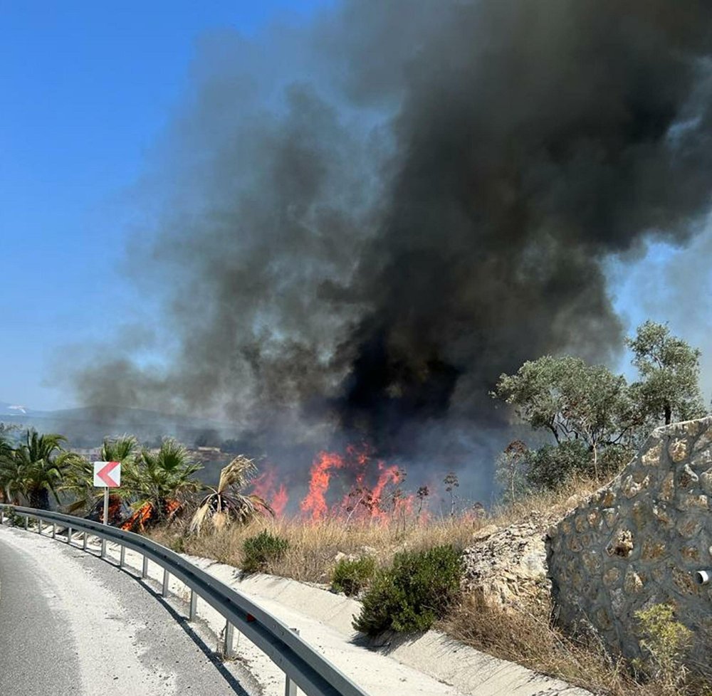 Milas'ta 160 hektar alan küle dönmüştü: Nedeni belli oldu