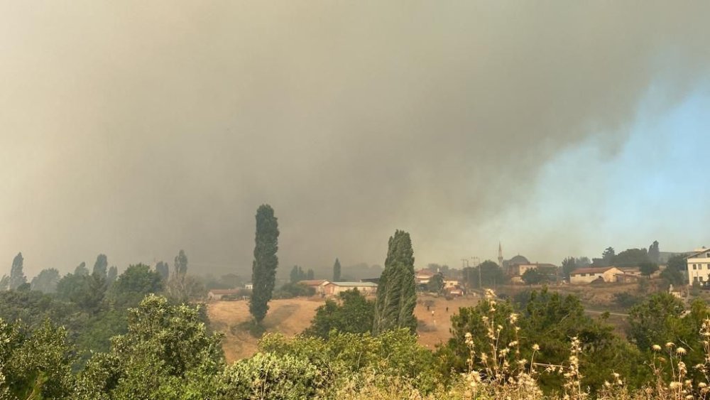 Çanakkale’de orman yangını