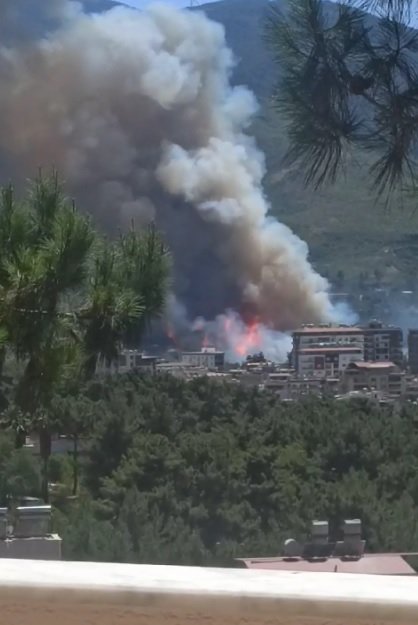 Hatay’da orman yangını