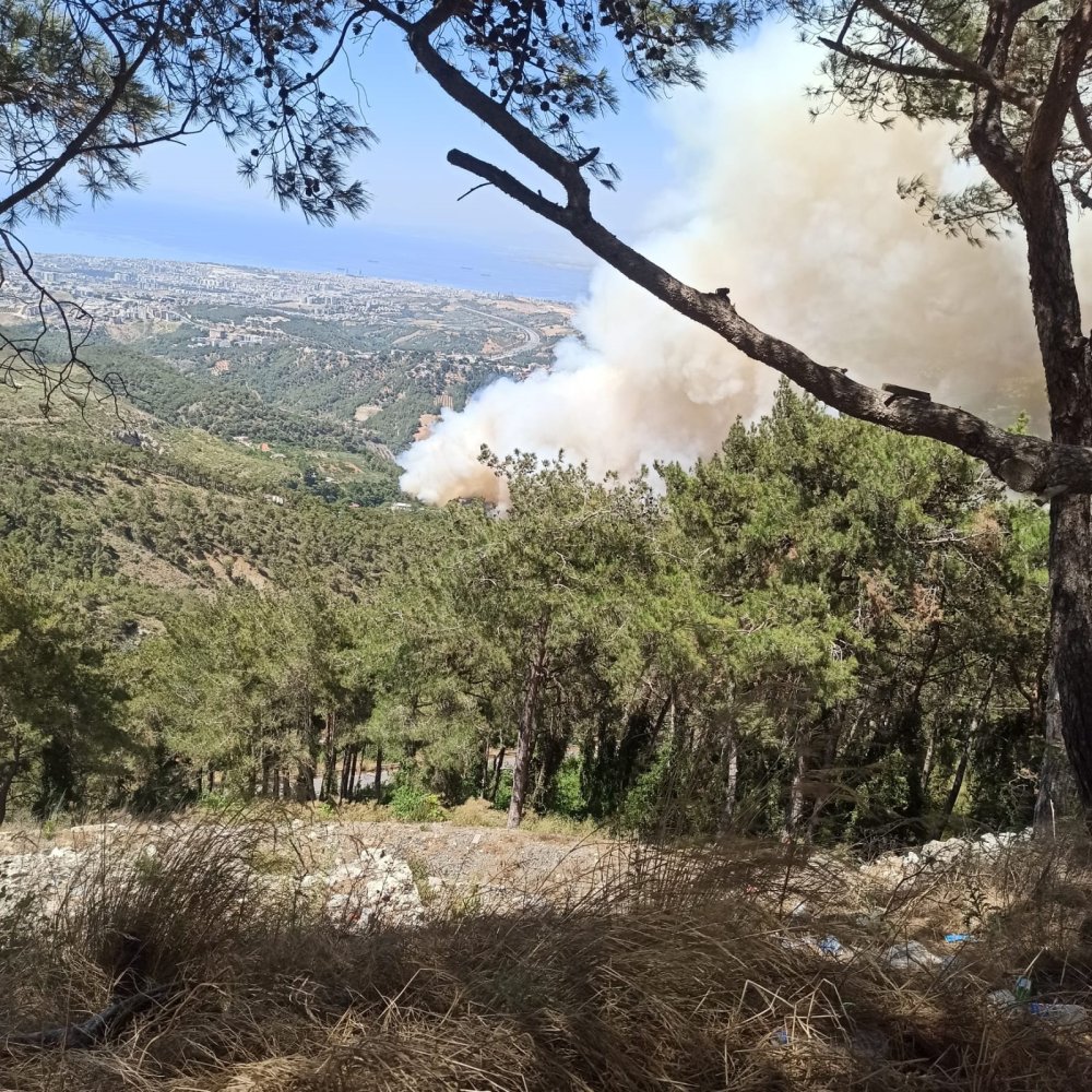 Hatay’da orman yangını