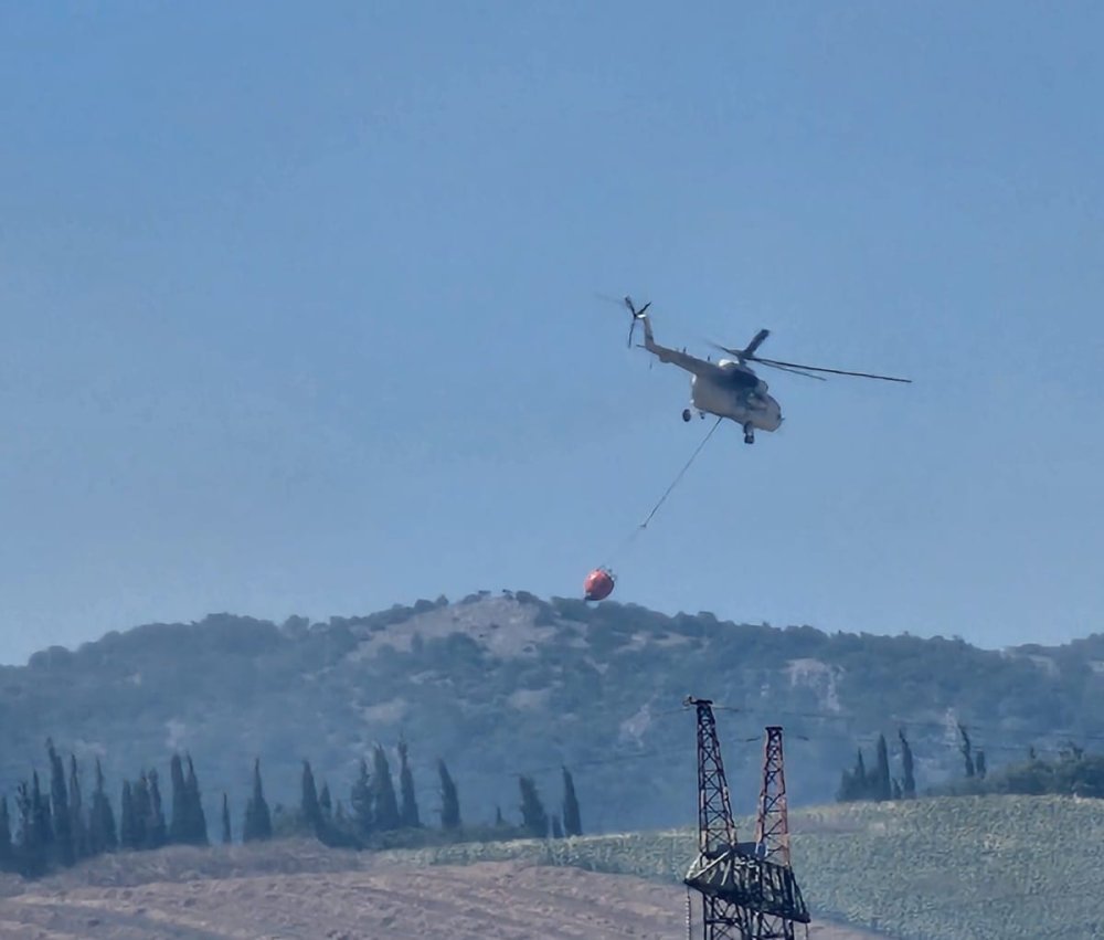 Tarlada çıkan yangın ormana ilerliyor