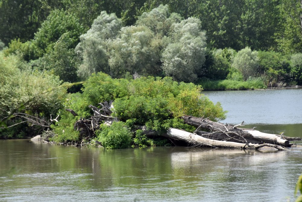 Meriç Nehri, son 5 yılın en düşük seviyesinde