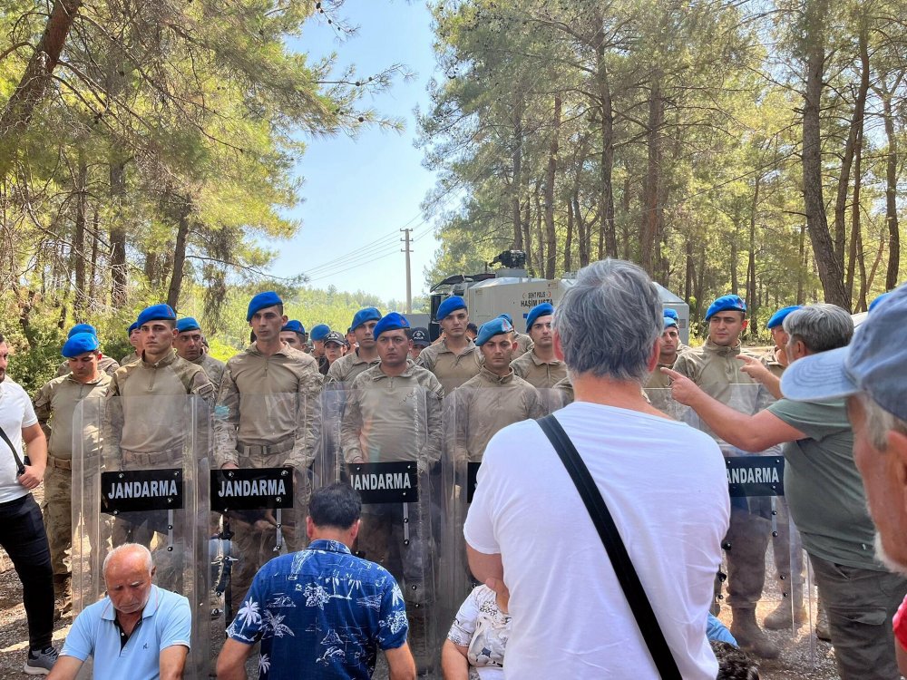 Akbelen'de orman katliamı: Gözaltına alınanlar var