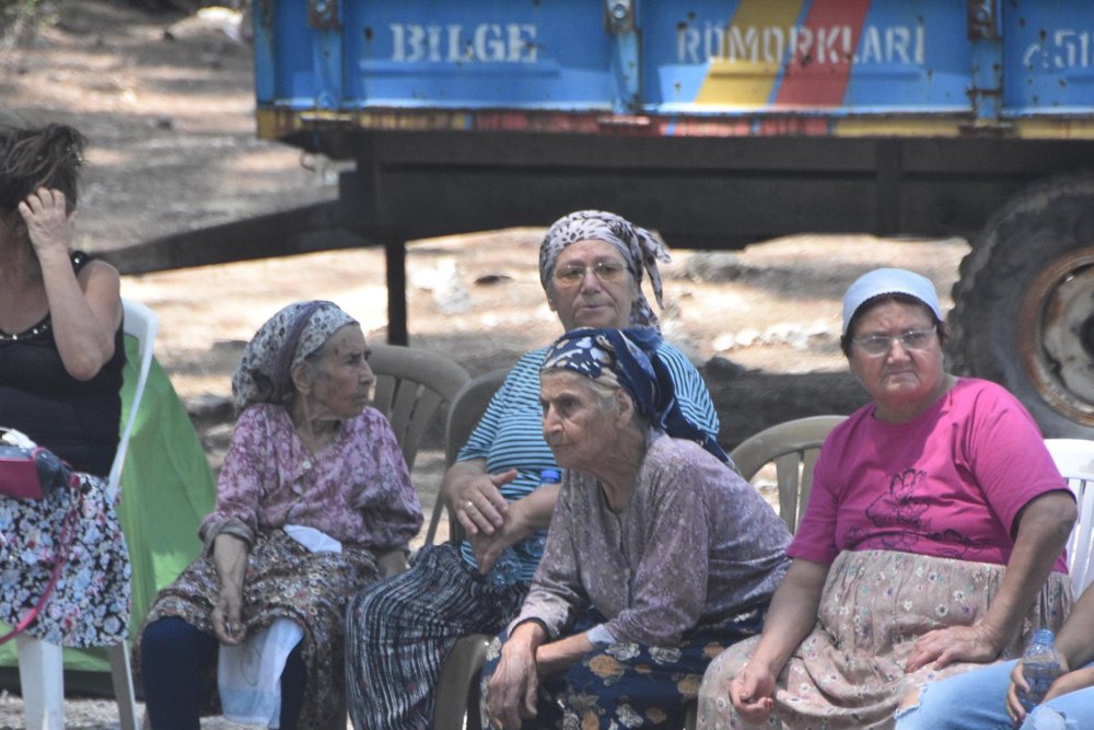 Akbelen'de orman katliamı: Gözaltına alınanlar var