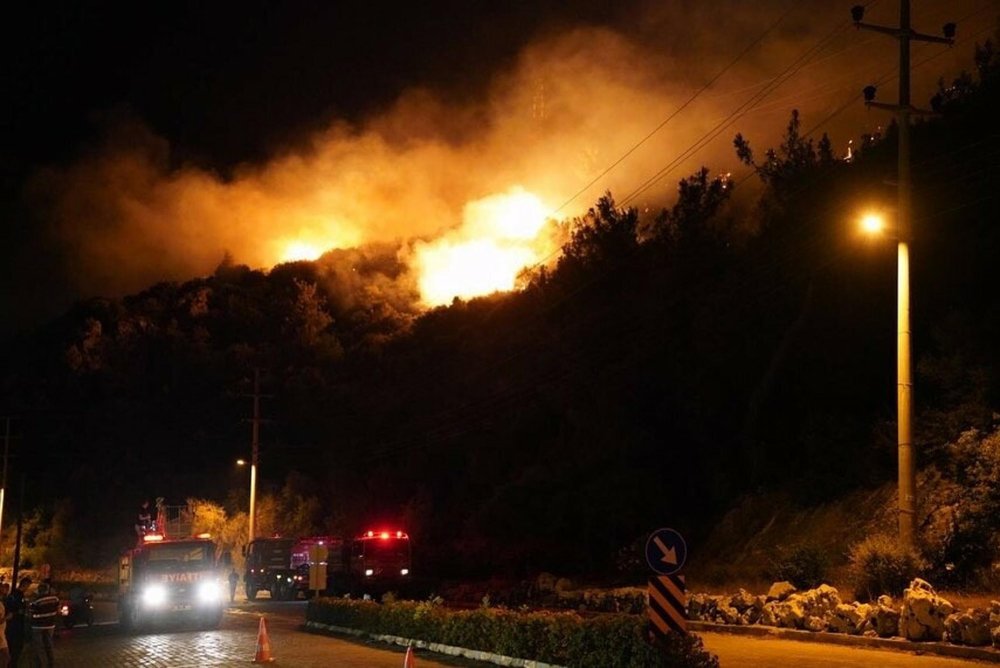 Muğla'daki orman yangını kontrol altına alındı: 1 gözaltı