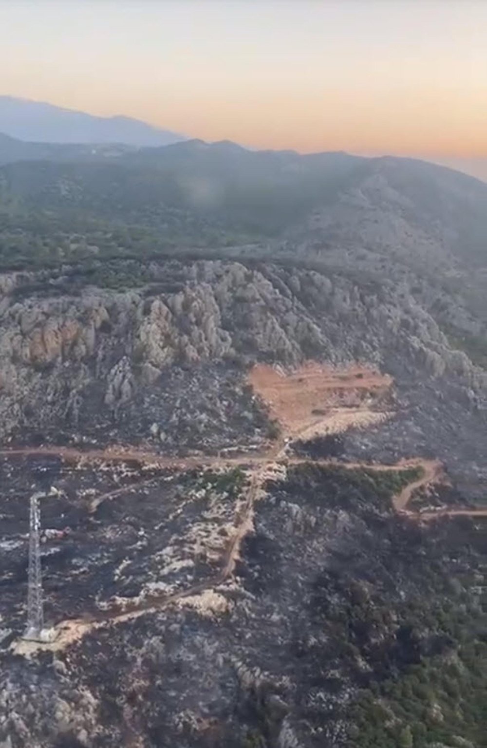 Muğla'daki orman yangını kontrol altına alındı: 1 gözaltı