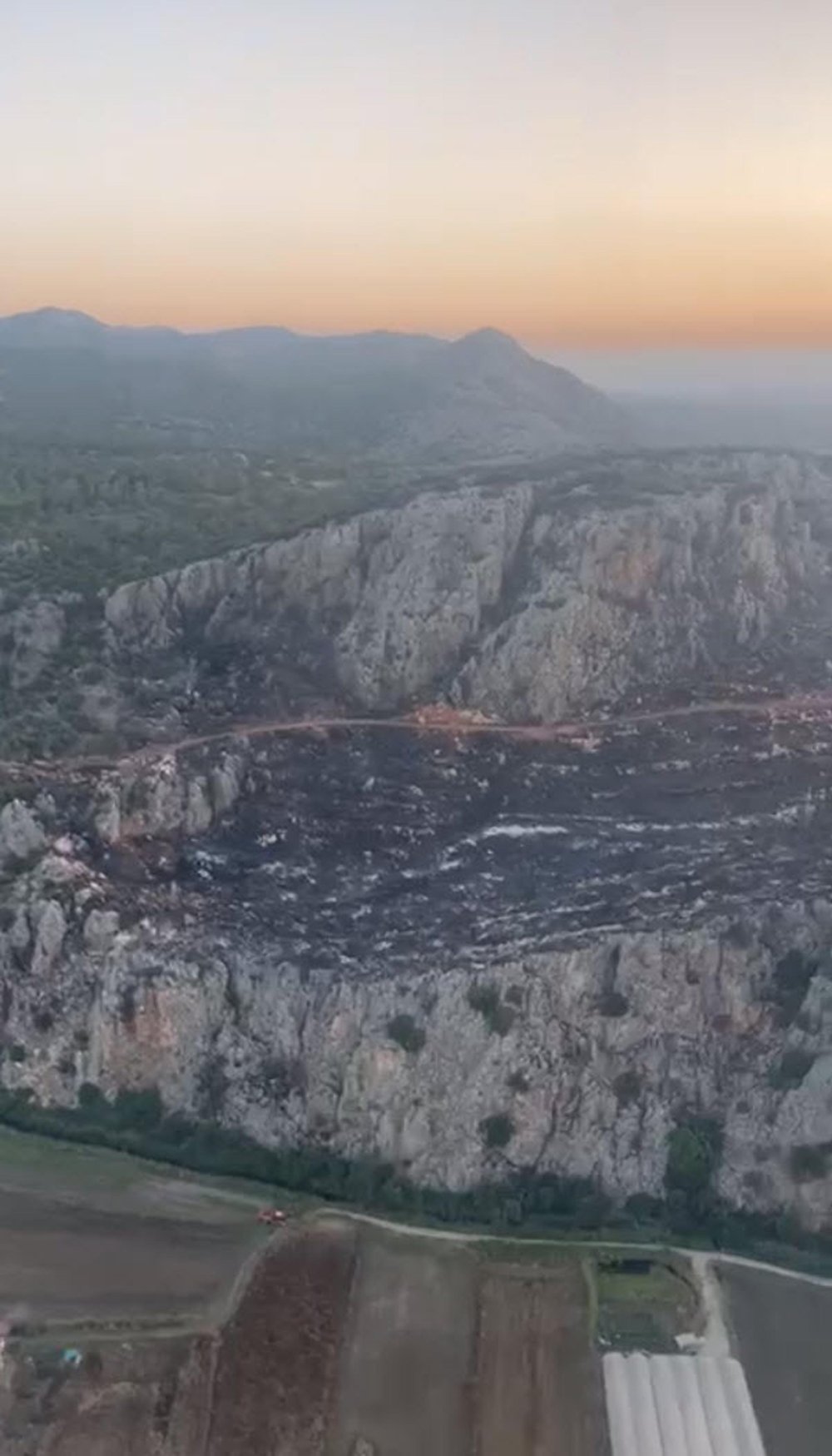 Muğla'daki orman yangını kontrol altına alındı: 1 gözaltı