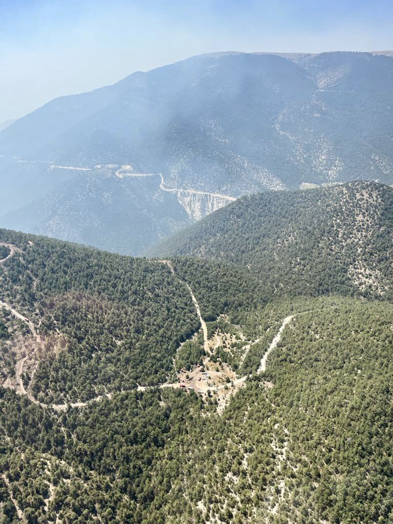 Bolu'daki orman yangını kontrol altına alındı