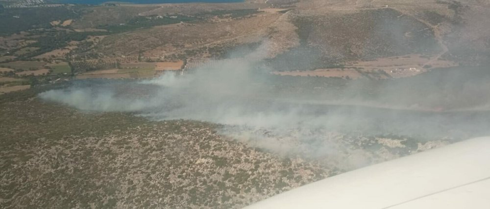 Çeşme'de orman yangını