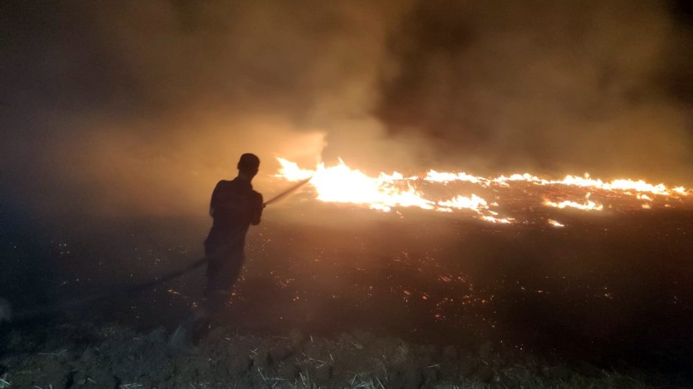 Diyarbakır'da 3 bin dönüm arazi yandı