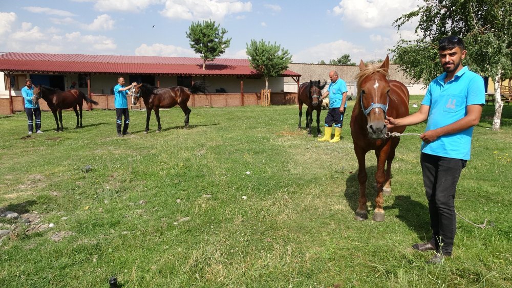 Erzurum'un faytonlara vedası olaylı oldu