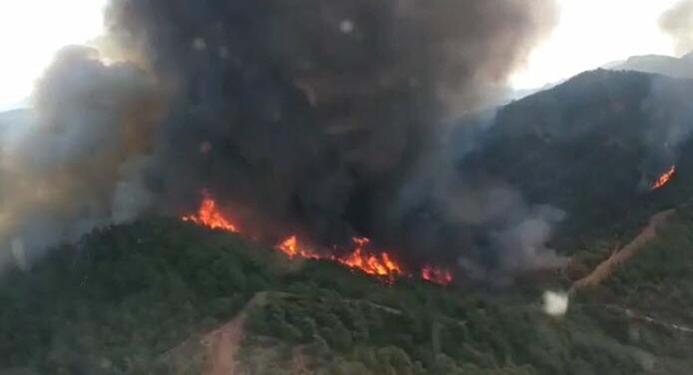 Marmaris'te orman yangını! Acı tesadüf...