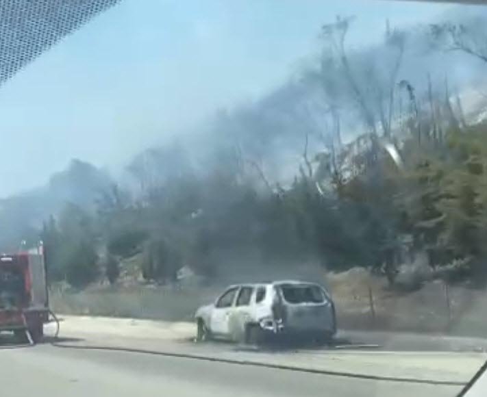 İzmir'de bir orman yangını daha çıktı