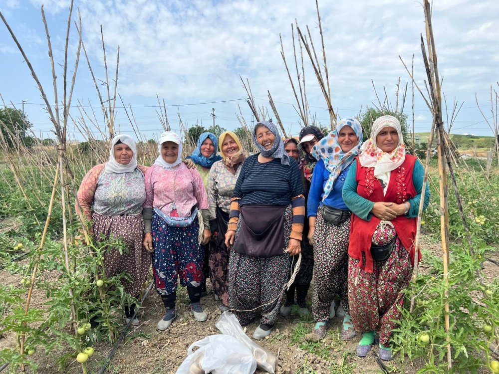 Tarladan sofraya, organik sebze yetiştiriyorlar