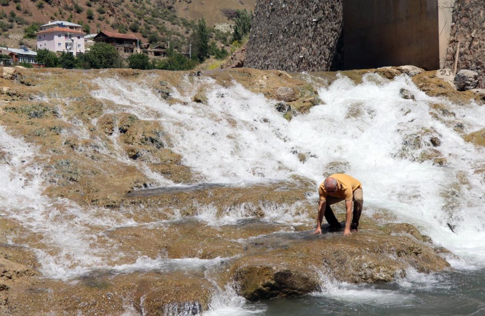 Binlerce sazana beton engeli: Yaşam mücadelesi veriyorlar