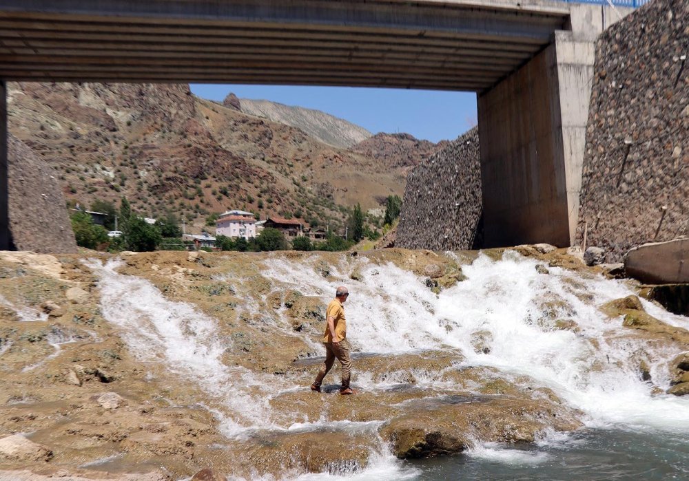 Binlerce sazana beton engeli: Yaşam mücadelesi veriyorlar