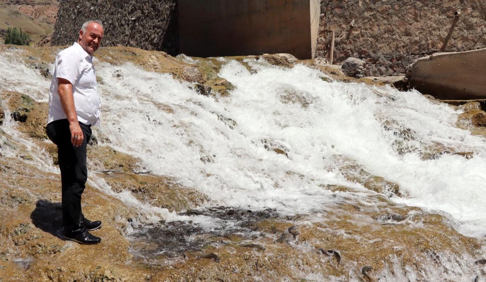 Binlerce sazana beton engeli: Yaşam mücadelesi veriyorlar