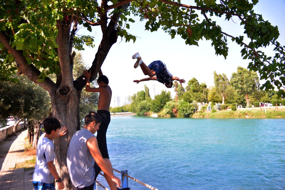 Tehlikeye aldırış etmediler: Bu kez de ağaçlara çıkıp sulama kanalına atladılar