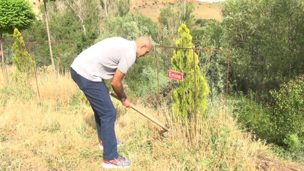 Vefat eden her köy kadını için bir fidan...