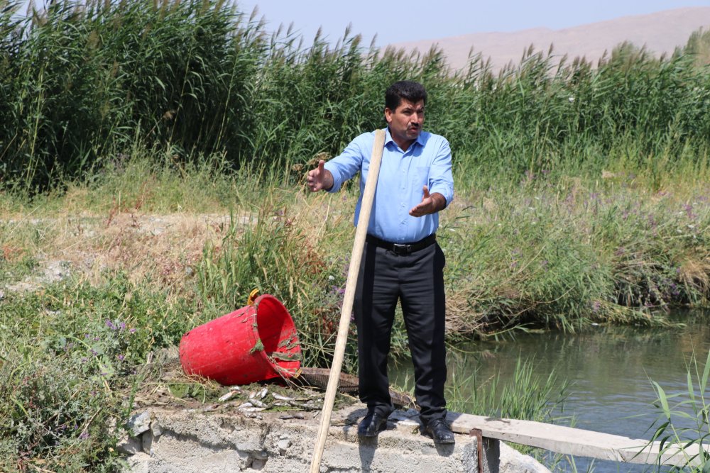 325 ton alabalık öldü: Çıkan raporda ölüm nedeni belirlendi