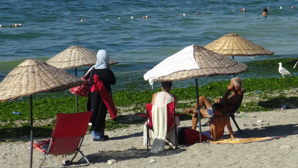 Metrelerce uzunluğundaki sahili yosunla kaplandı