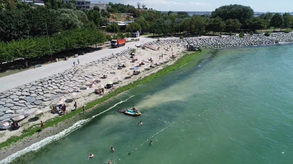 Metrelerce uzunluğundaki sahili yosunla kaplandı