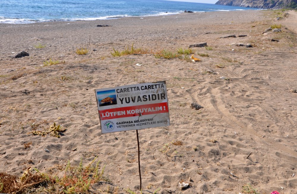 Caretta caretta yuvası üzerinde mangal yaktılar