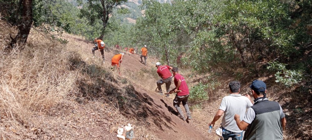 Bingöl'de orman yangını: 3'üncü gününde kontrol altında