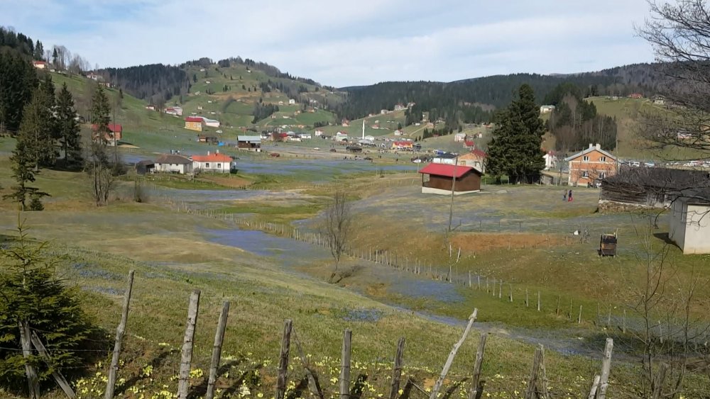 İklim değişikliğinin turizm sektörüne etkisi: 'Karadeniz'e hücum olacak'