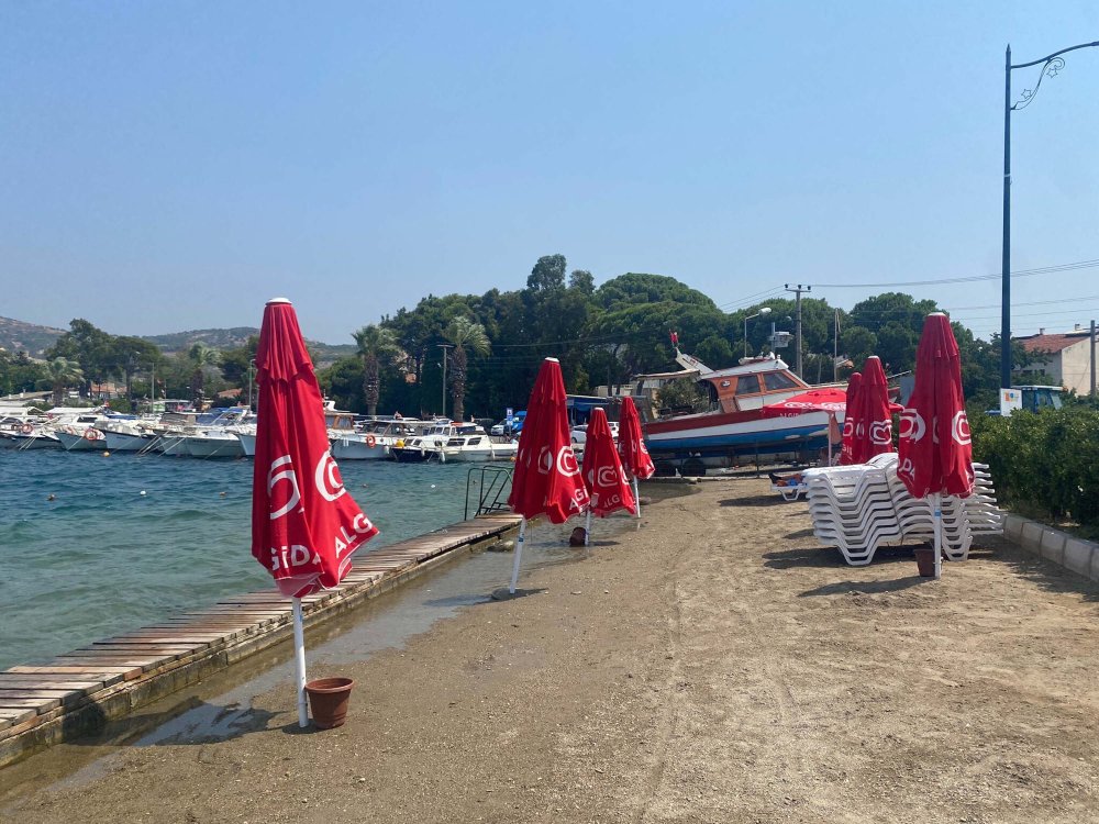 Turistik ilçede denizanası istilası: Plajlar boş kaldı