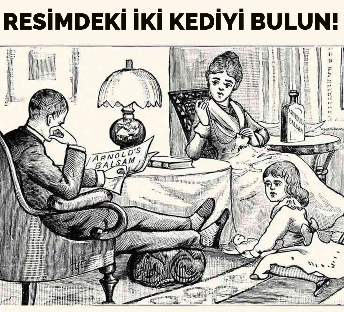 iki-kedi-bilmece-resim.webp