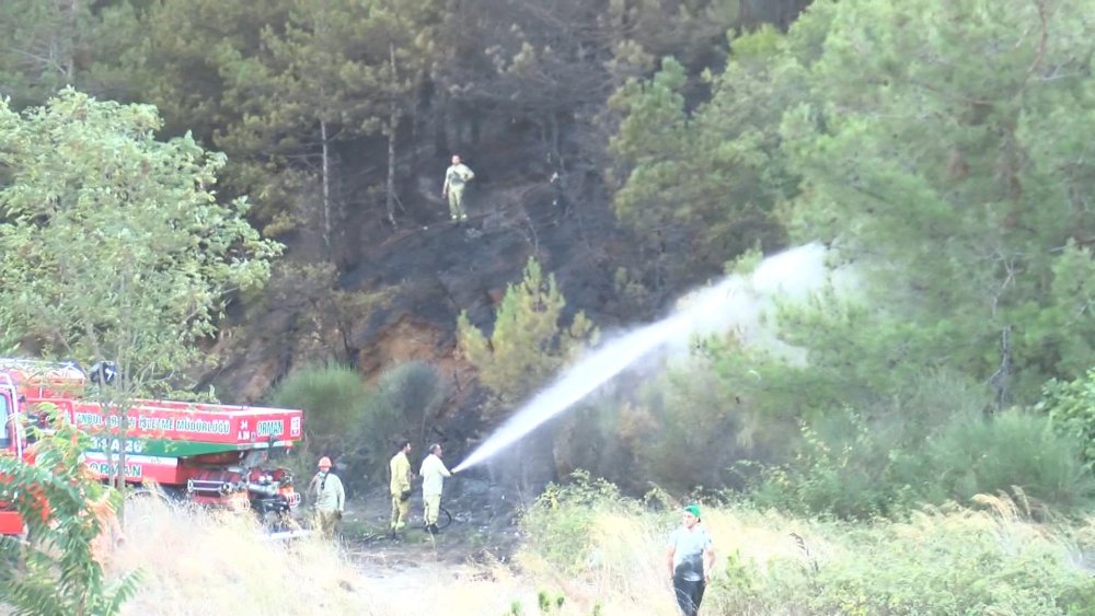 Ormanlık alandaki yangın helikopterle söndürüldü