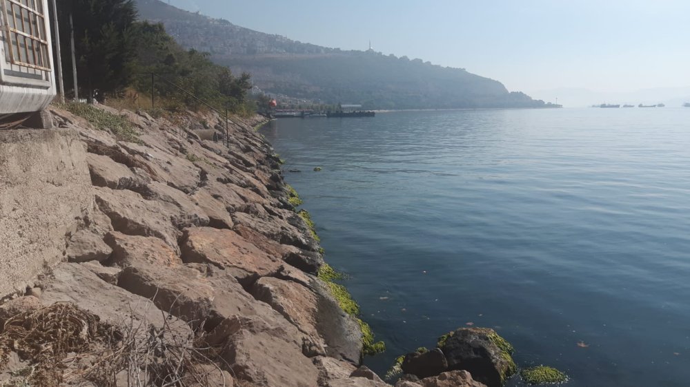 Gece zıpkınla denize girdi, sabah cansız bedeni bulundu