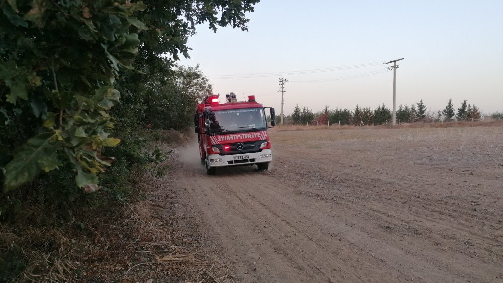 Ağaçlara sıçrayan yangın büyümeden söndürüldü