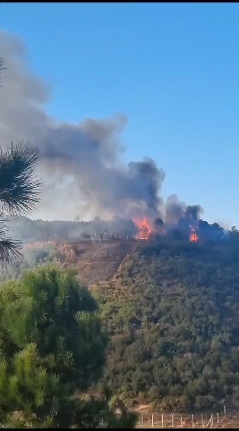 Şehir ormanında çıkan yangın kontrol altında