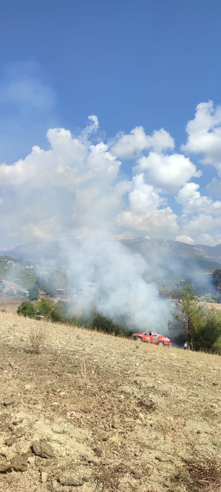 Adana'da iki ayrı yerde orman yangını