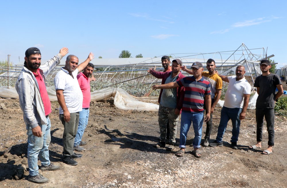 Şiddetli yağış ve fırtına, gül seralarını vurdu: Çatılar uçtu, ağaçlar yerinden söküldü