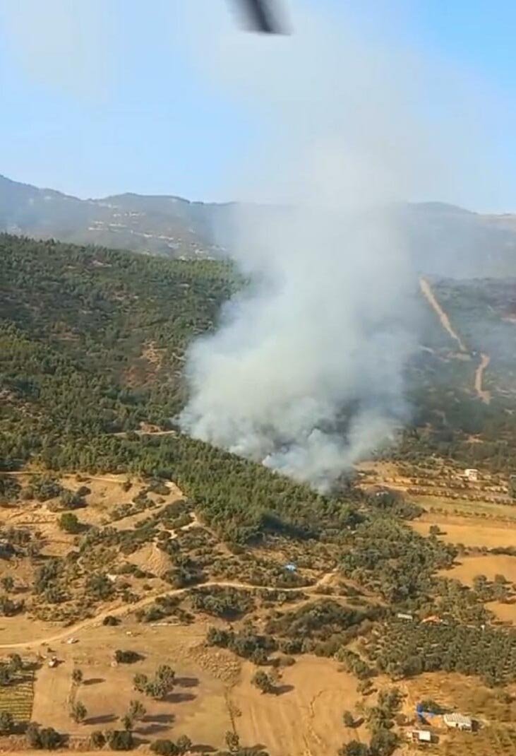 Orman yangınları başladı: Ekipler havadan ve karadan müdahale etmeye çalışıyor