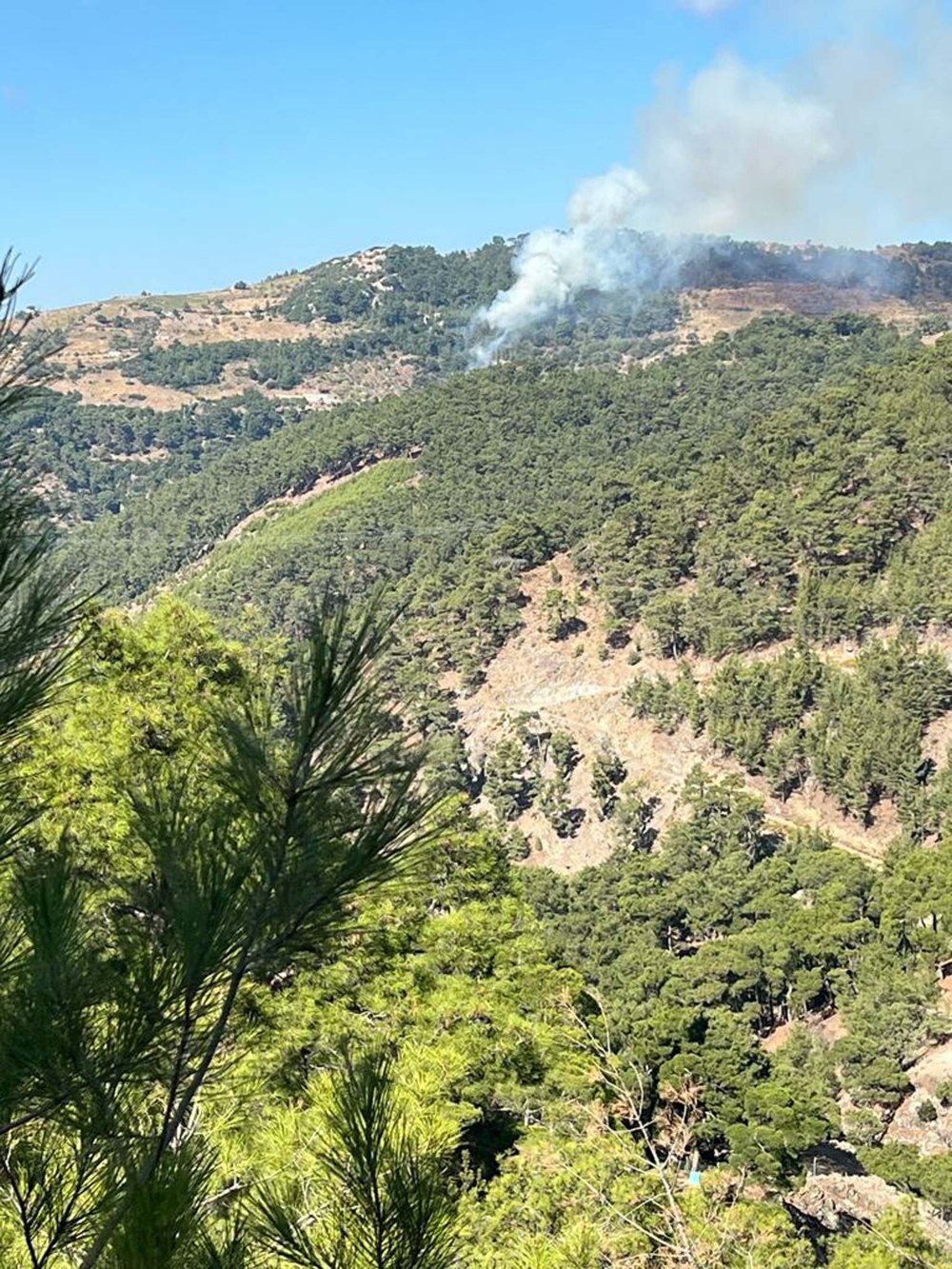 İzmir'deki orman yangını kontrol altına alındı