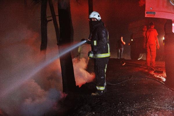 Ormanı yaktıktan sonra evinde uyurken yakalandı: 'Ben orman sevdalısıyım' dedi